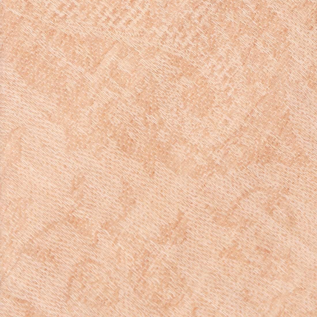 Pashtush Mens  Necktie, Jacquard Ties For Men, Free Size, Cairo Beige - Image 3