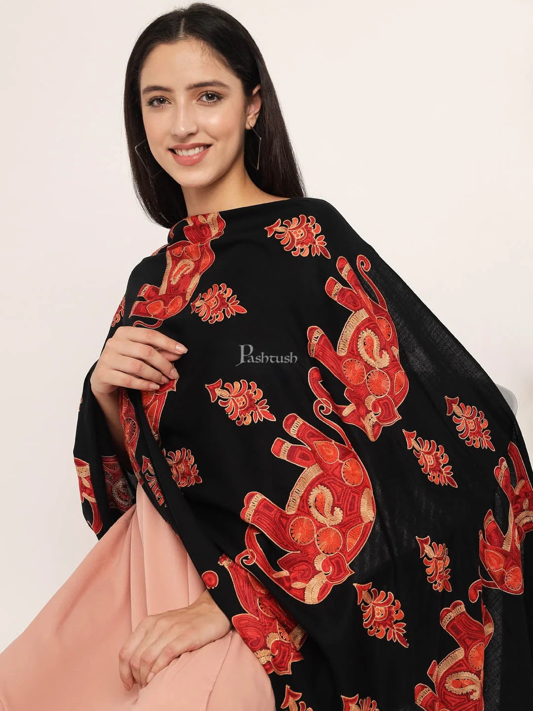 Pashtush womens Woollen stole, nalki embroidery design, Black - Image 5